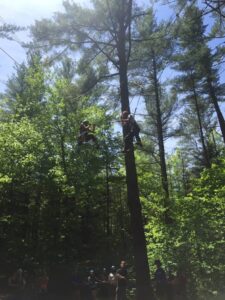 nicole-on-a-high-ropes-course