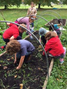 pushing-the-envelope-farm-planting