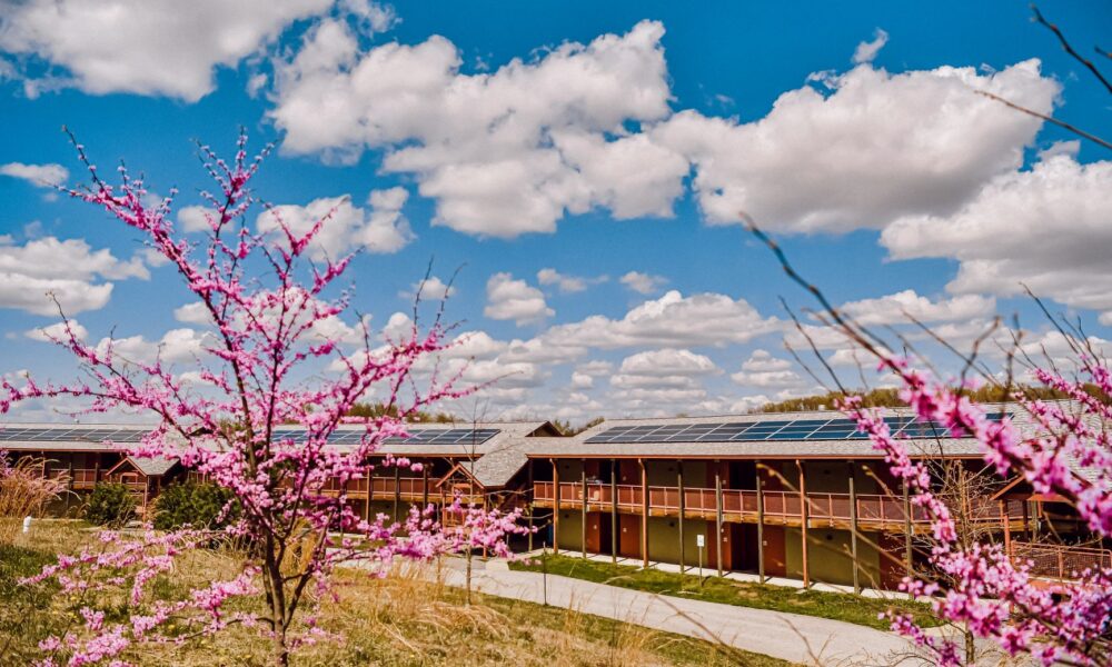 roof top solar panels