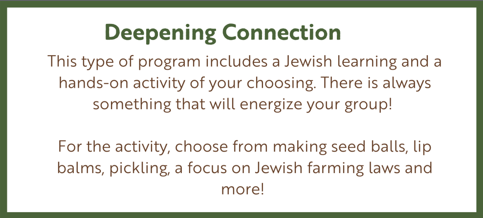 Deepening Connection | This type of program includes a Jewish learning and a hands-on activity of your choosing. There is always something that will energize your group! For the activity, choose from making seed balls, lip balms, pickling, a focus on Jewish farming laws and more!